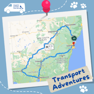 Coastal Critter Carriers Pet Transport Australia Sydney to Melbourne - Interstate Pet Travel by Road - Dog Transport - Cat Transport - Safe and Reliable